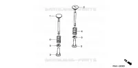 VALVE / VALVE SPRING for Honda WA20